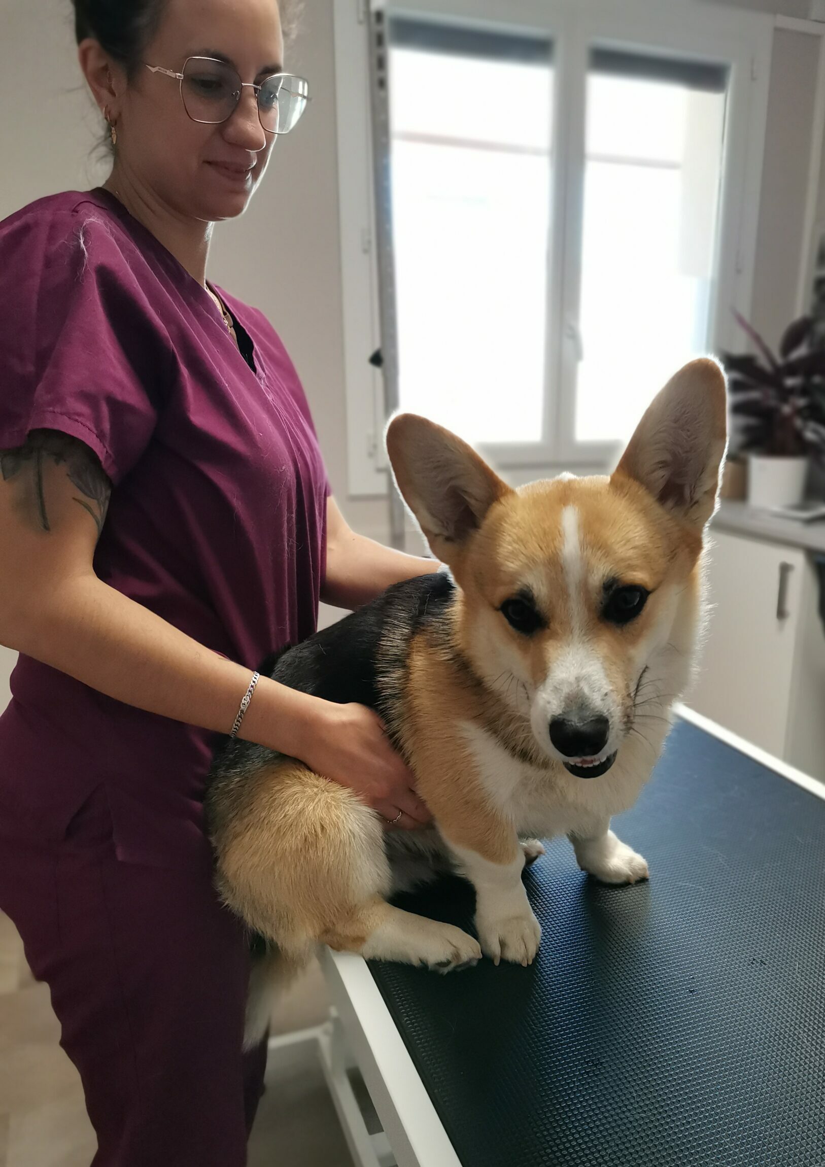 groupe-veterinaire-cerdagne-capcir